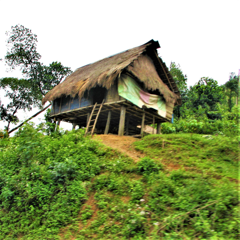 Stilt home which is common in this area
