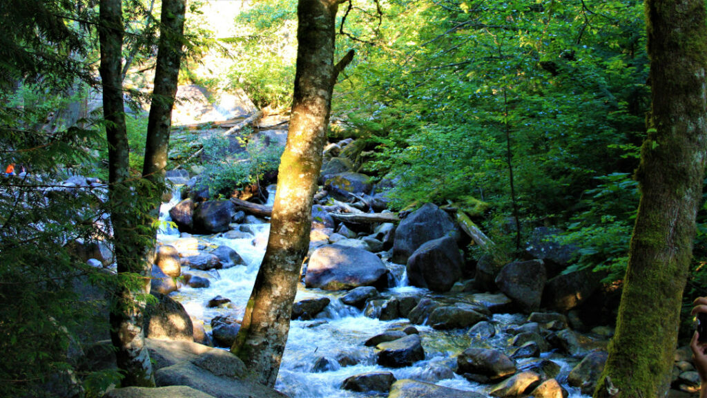 A stream from Shannon Waterfall