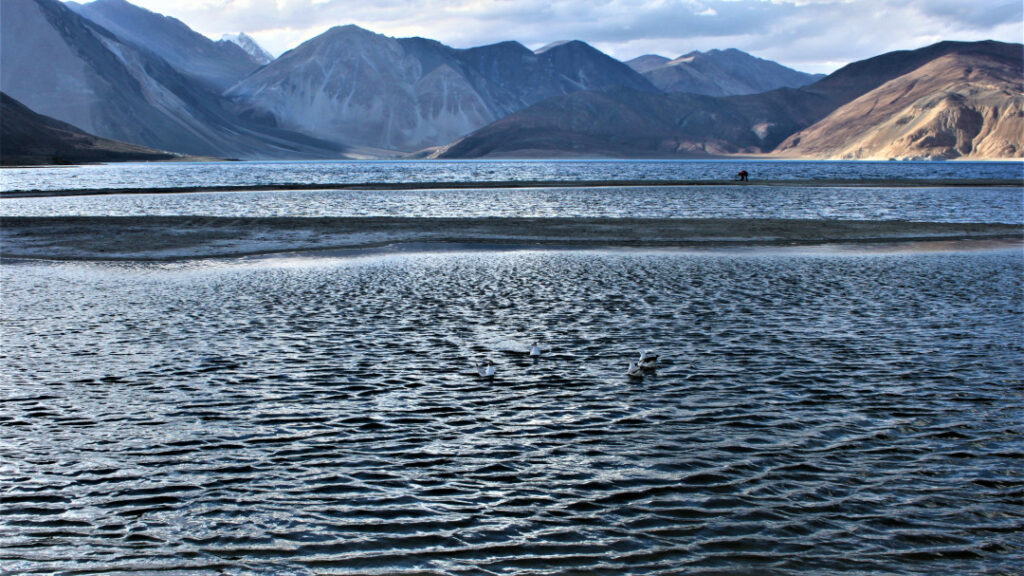 Pangong Tso with the strip of land where the movie '3 Idiots' was shot