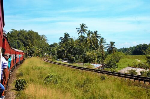 The train to Kandy passing through paddy fields in the lowlands