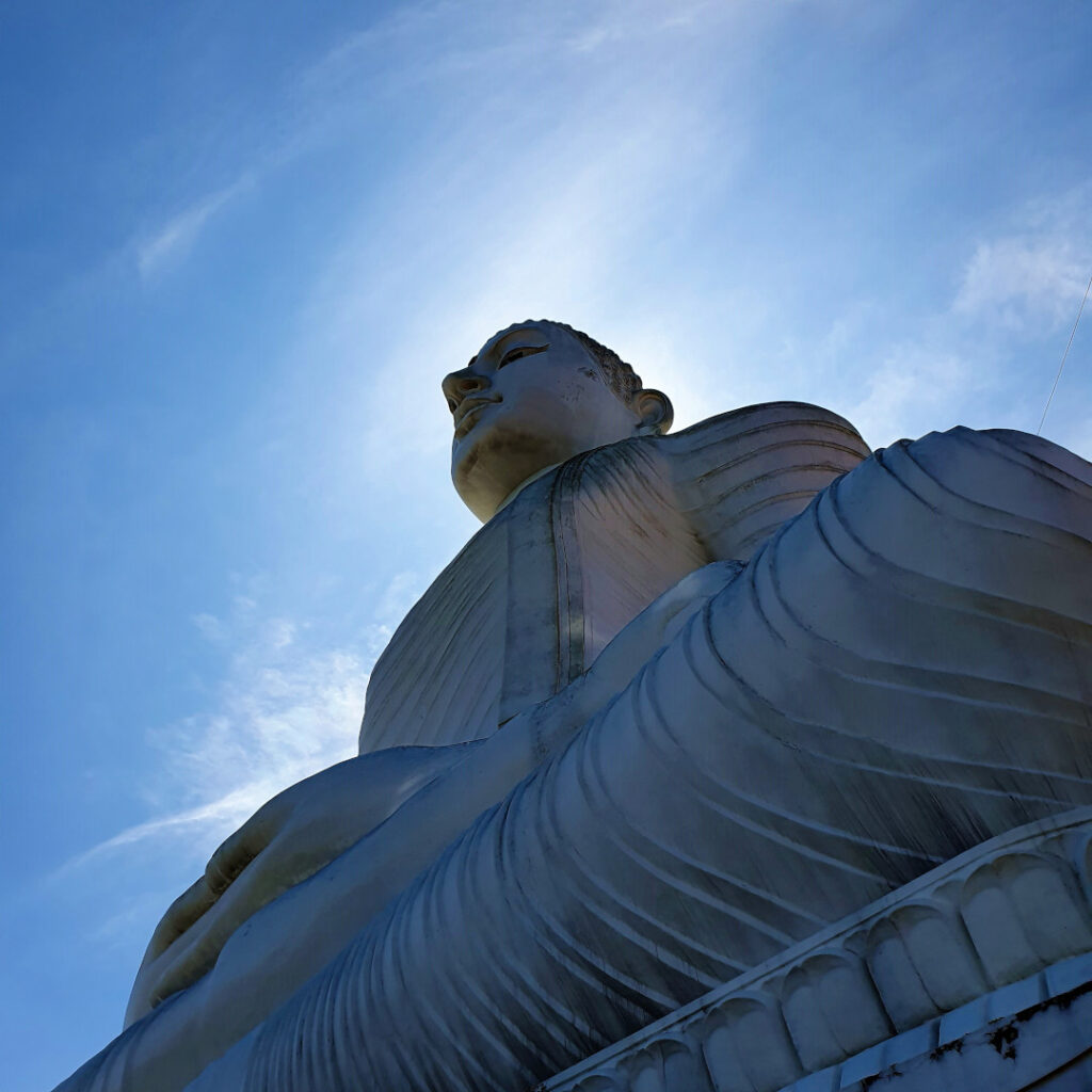 The Buddha from under his feet
