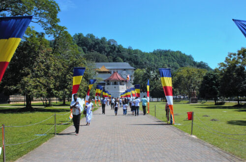 The pathway to the temple