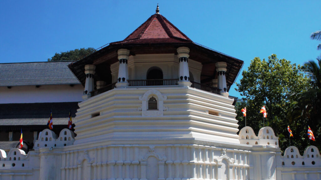 The Pattirippuwa