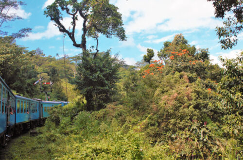 The blue train from Kandy to Ella