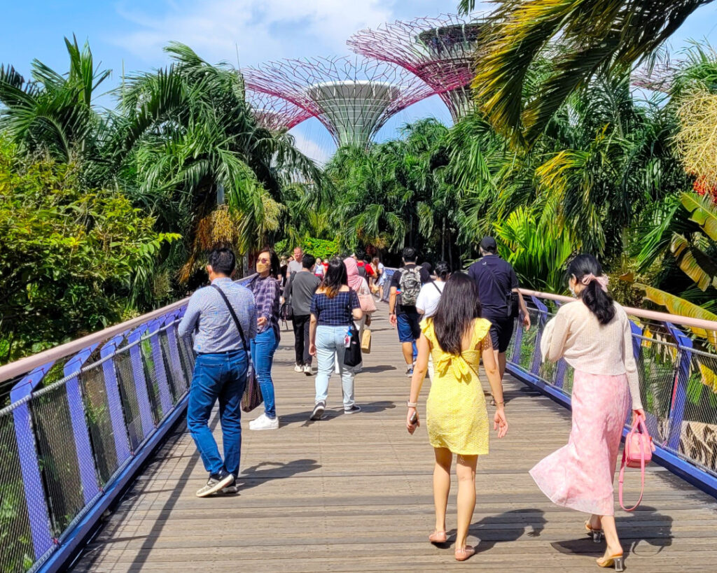 One of the walkways that leads to Gardens by the Bay, and the Supergrove.