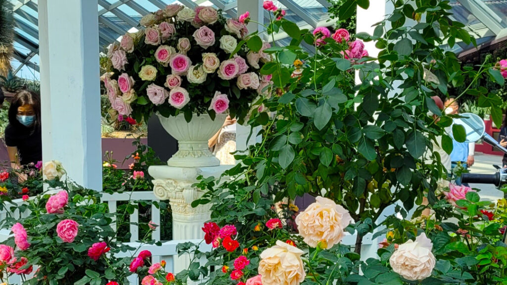 The Flower Dome is like a floral wonderland.