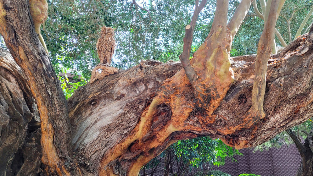 Intricately designed wooden sculptures of different animals dot the landscape in here.