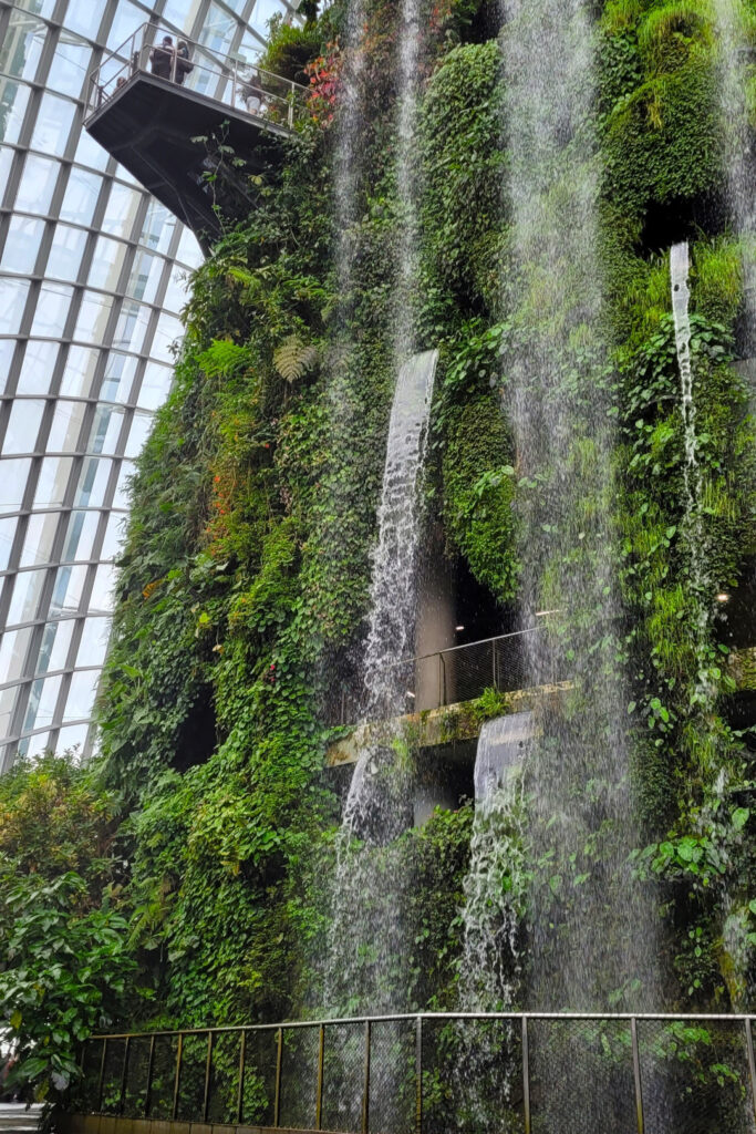 The Cloud Forest transports you into mist-filled world, complete with spectacular views and lush vegetation.