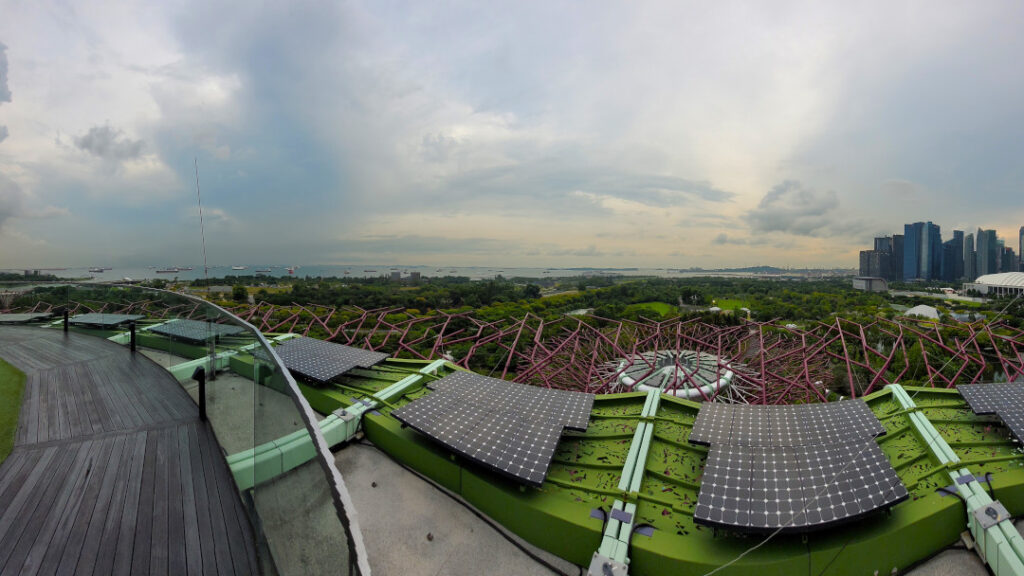 Views of the harbour from the Supertree Observatory.