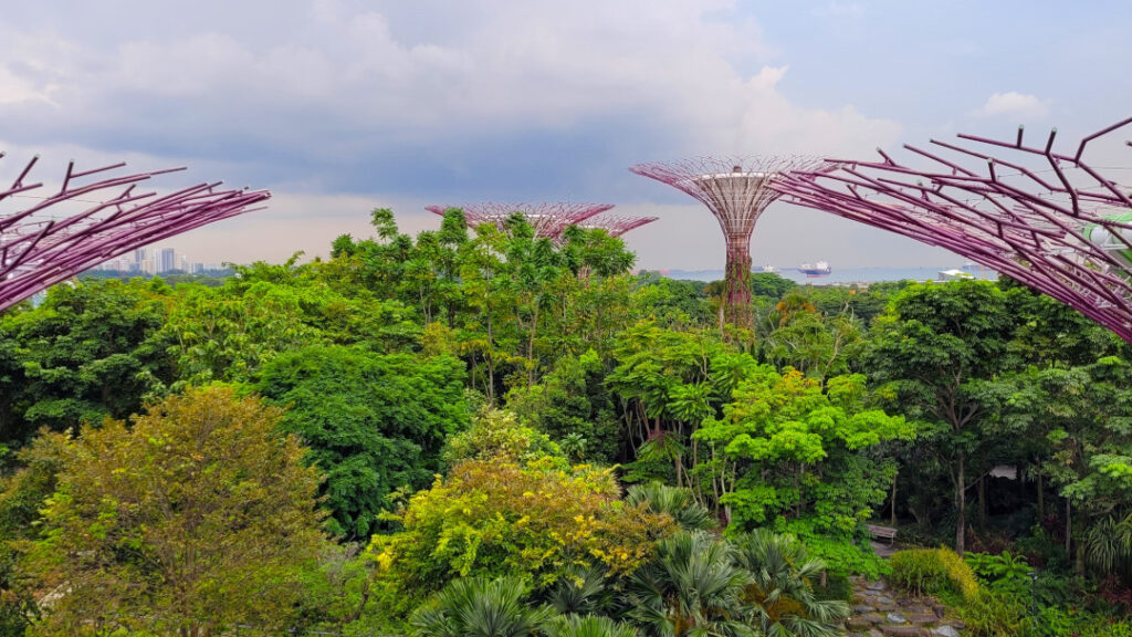 You get a panoramic 360 degree view of the cityscape from up here.