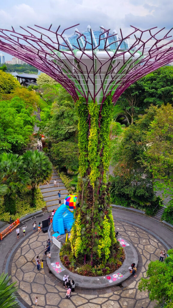 Some of the best views are from the OCBC Skyway and Supertree Observatory.
