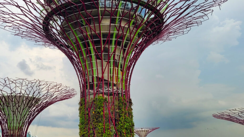 Each of the Supertrees also has an important environmentally sustainable purpose for the well-being of the garden.