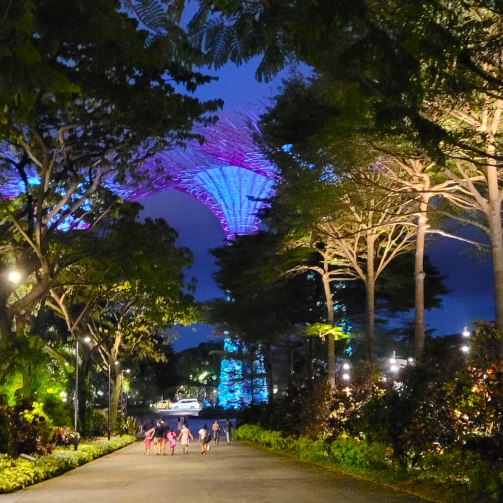 Another view of the The Garden Rhapsody Light and Sound Show.