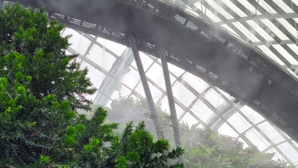 It's like you are being transported into a mist-filled world.