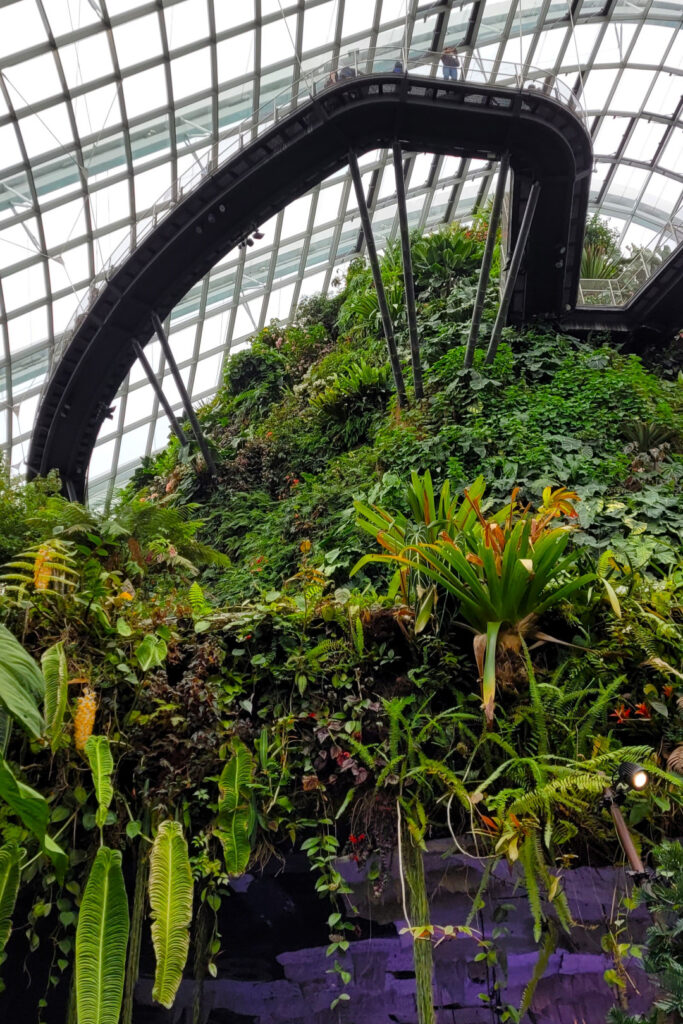 View of the walkway with the lush vegetation below it.