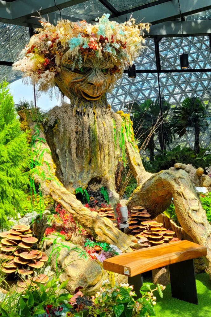 Nobu, guardian of the gardens, keeping a watchful eye.