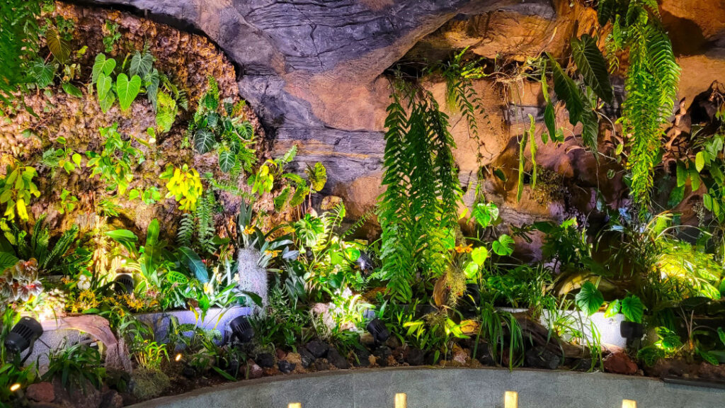 Orchids grow from the rocks.