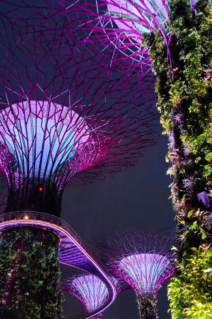 The Supergroves all lit up for the show.