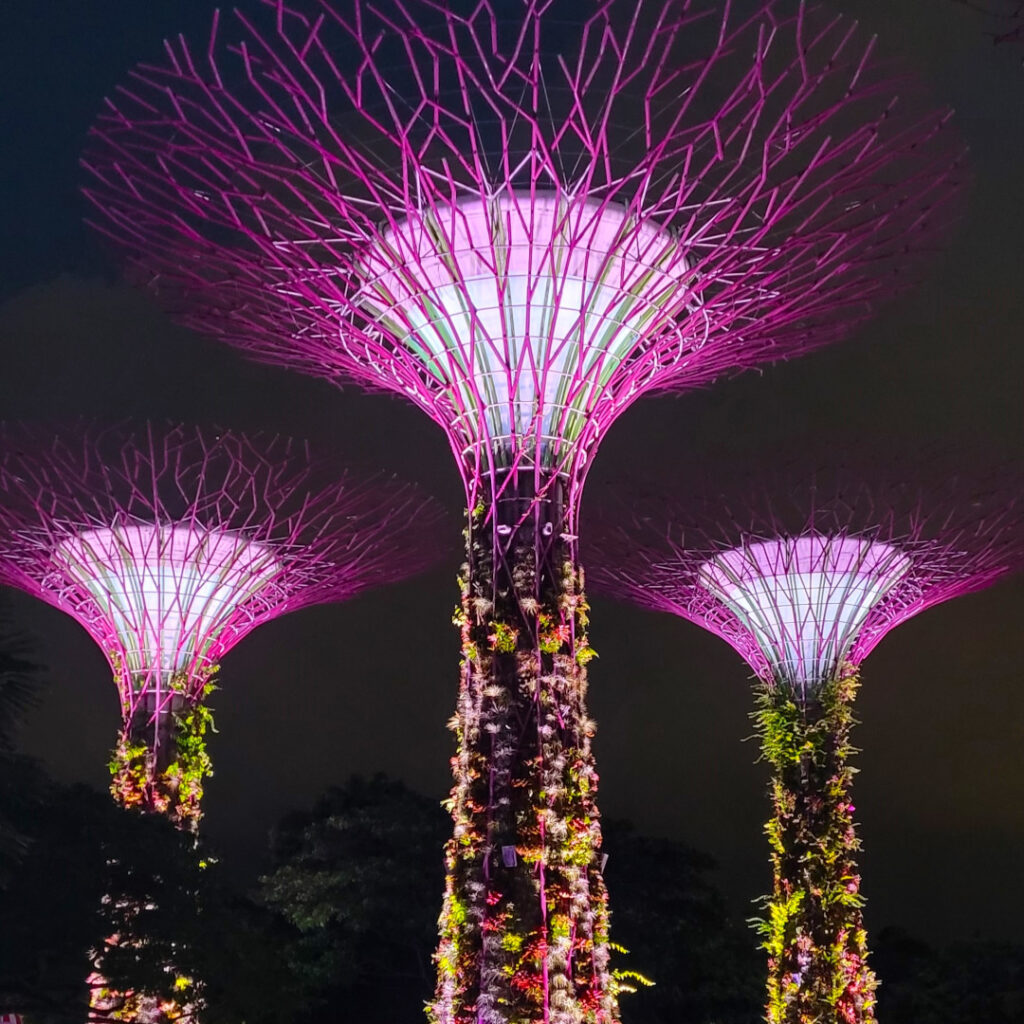 The Supertree Grove, at their finest.