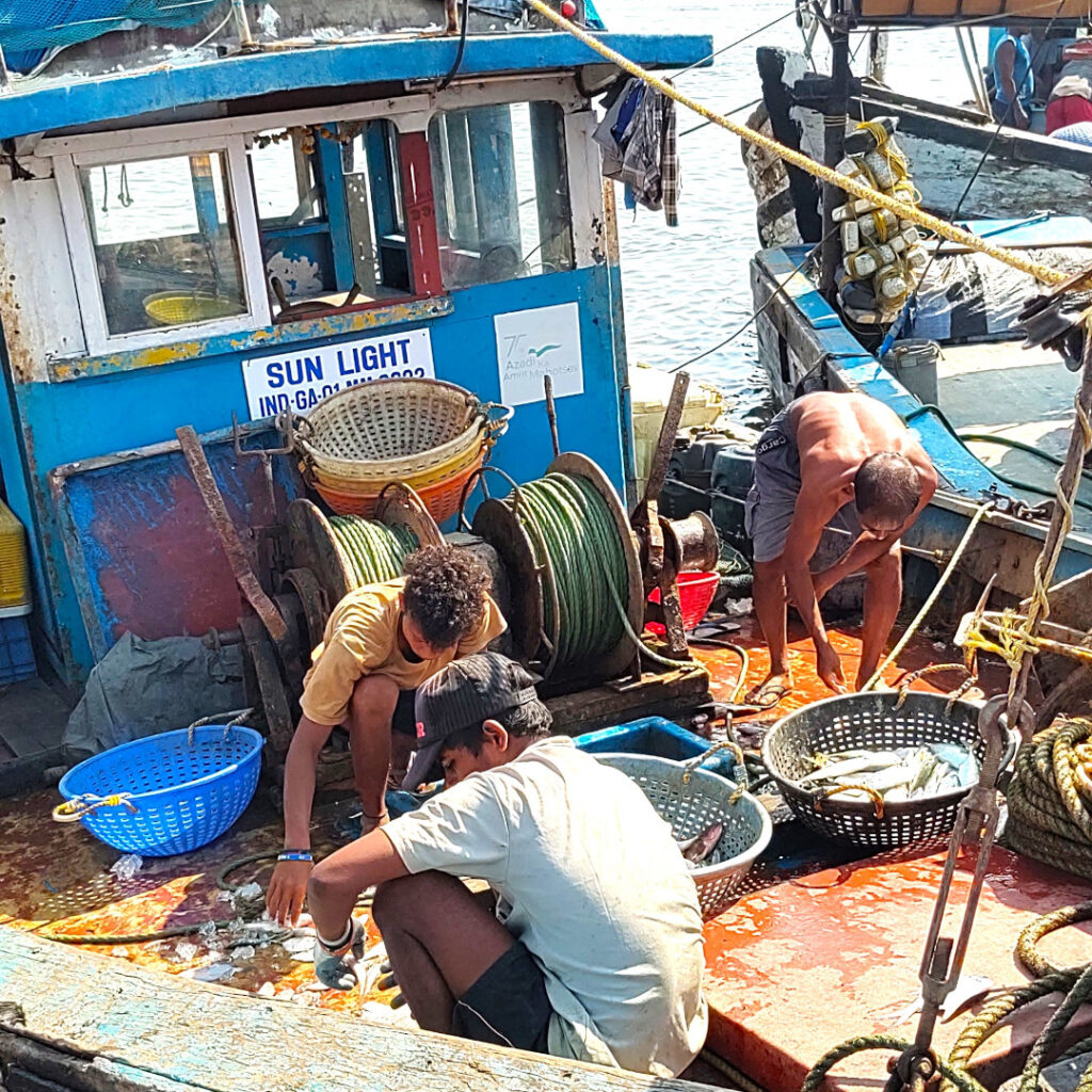 Sorting out the day's catch.